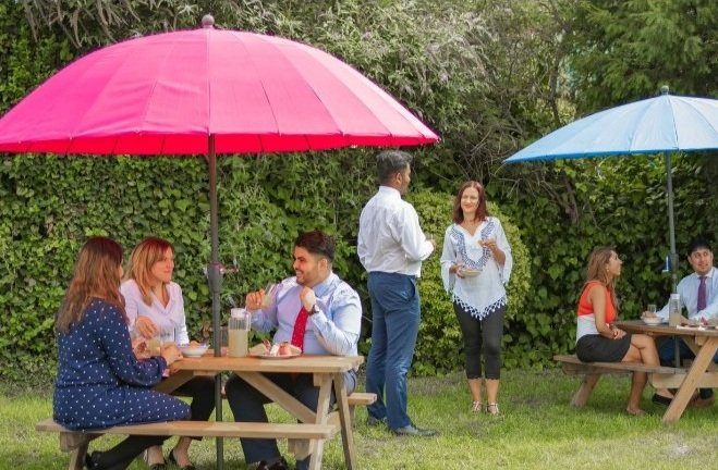 Screenshot 8 8 2024 94651 www.airivo.com