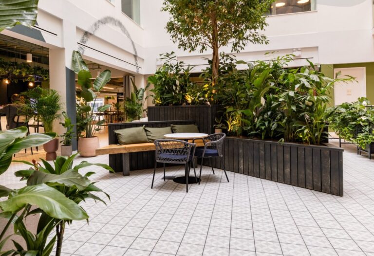 Screenshot 11 8 2024 153521 www.xandwhy.co .uk  768x526