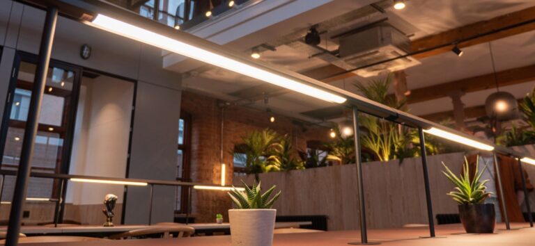 Screenshot 13 8 2024 04049 colonyco.work  768x354